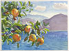 An Italian Palate: Paintings by Wyatt Waters