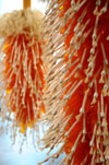 Montana Triennial: 2012