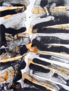American Abstract Artists