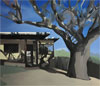 Sheila Miles: Light and Shadow