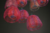Arline Fisch: Sea Jellies