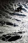 Return to the Sea, Saltworks by Motoi Yamamoto