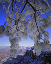 Lasting Light: 125 Years of Grand Canyon Photography