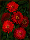 Still Lifes from the Museum of the Southwest Collection