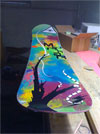 Freestyle: The Art of the Snowboard