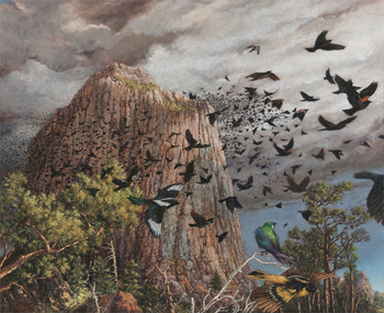 Black Hills Birds, 2014