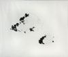 Katie Holten: Drawn to the Edge