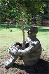 Jaume Plensa: The Heart of Trees