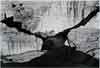 Focus on Photography: North to South: Photographs by Edward Ranney