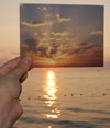 Image Transfer: Pictures in a Remix Culture