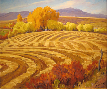 Untitled (Plowed Fields)