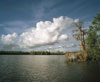 Nell Campbell - Duck Blinds: Louisiana