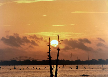 Bayou Bienvenue Wetland Triangle, 2019