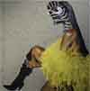 The African Diva Project: Paintings by Margaret Rose Vendryes