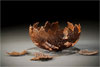 Against the Grain: Wood in Contemporary Art