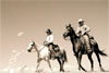 Lonesome Dove: Highlights from the Wittliff Collections