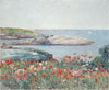 American Impressionist: Childe Hassam and the Isles of Shoals