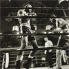 Larry Fink: The Boxing Photographs