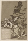 Witness: Reality and Imagination in the Prints of Francisco Goya