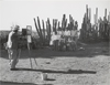 Mexican Photographers, Mexican Views