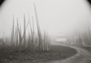 PLATINUM: Contemporary Photography