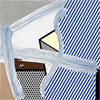 Present Tense: Selections from the Lenhardt Collection