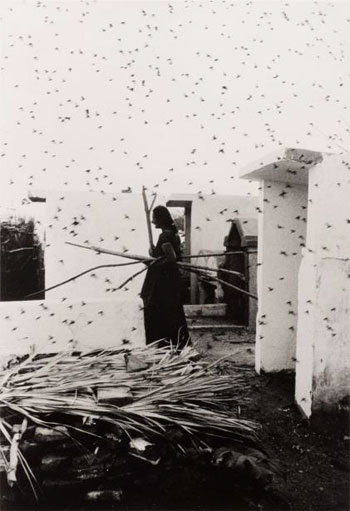 Mujer Angel, Desierto de Sonora, México (Angel Woman, Sonora Desert, Mexico), 1979, printed later.