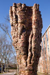 Ursula von Rydingsvard and Others: Materials and Manipulations