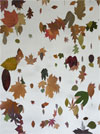 Joan Backes: Falling Leaves and Painted Branches