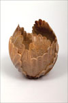 New Gifts to Its Wood Collection "Knockwood"