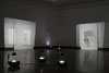 Claire Harvey: Daily Measures