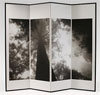 In the Realm of Trees: Photographs, Paintings, and Scholar's Objects from the Collection