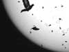New Media Series—Hiraki Sawa: Migration