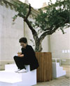 Yoko Ono: Wish Tree