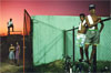 VIOLET ISLE: Alex Webb and Rebecca Norris Webb