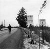 NORTH AND SOUTH: Photographs of U.S. Route 1 by Berenice Abbott