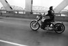 Bikeriders – Danny Lyon