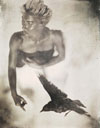 FLUIDRIVE: Modern Daguerreotypes: Curtis Wehrfritz