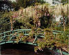 The Gardens of Giverny: A View of Monet's World; Photographs by Stephen Shore