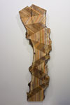 OPEN HOUSE: Contemporary Art in Conversation with Cole / Jason Middlebrook: Nature Builds / We Cover