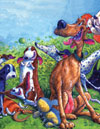 Best in Show: Animal Illustrations from the Mazza Collection