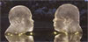 Jaume Plensa: Human Landscape