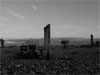 Moving Images