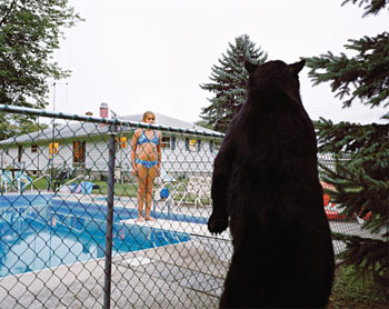 Watering Hole, 2005