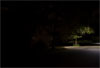 Catie Newell: Overnight