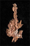 Sculpted by Nature: Silver and Copper from the Peter H. Farquhar Collection