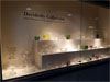 Gathering Glass: University Museums and the Iowa Questers