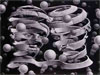 M.C. Escher: Reality and Illusion