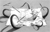 llustrating Illusions: Drawings by Robin Lauersdorf