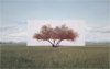PLATFORM 26: Myoung Ho Lee, Tree...#2